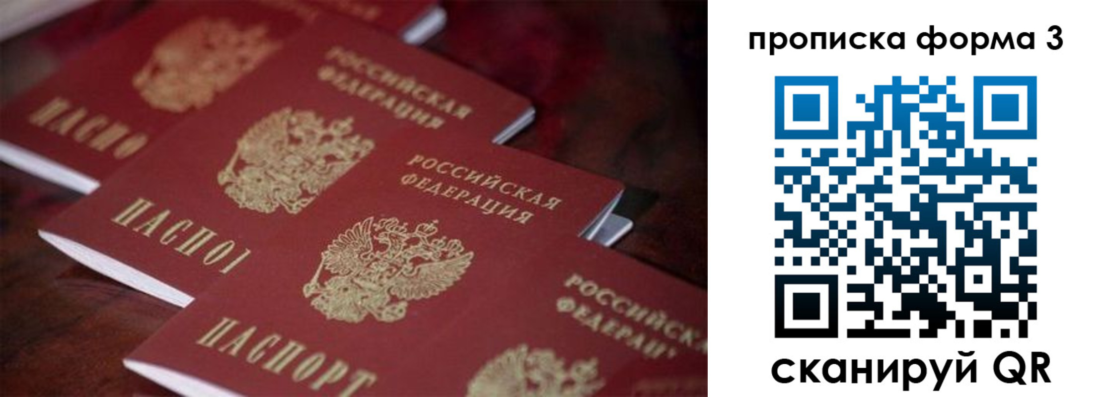 прописка паспорт в Щиграх